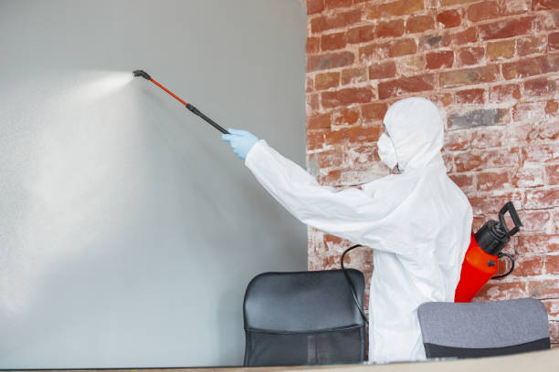 Best Residential Mold Inspection & Testing  in Anacortes, WA