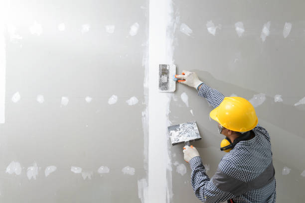 Mold Documentation for Insurance Claims in Anacortes, WA