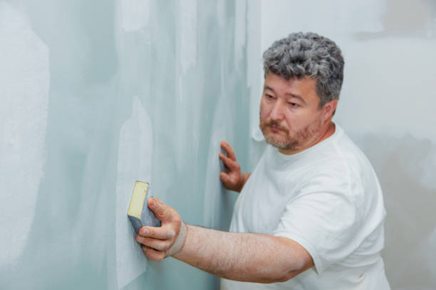 Best Mold Odor Removal Services  in Anacortes, WA
