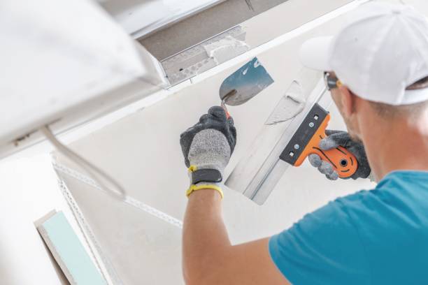 Best Mold Prevention Services  in Anacortes, WA